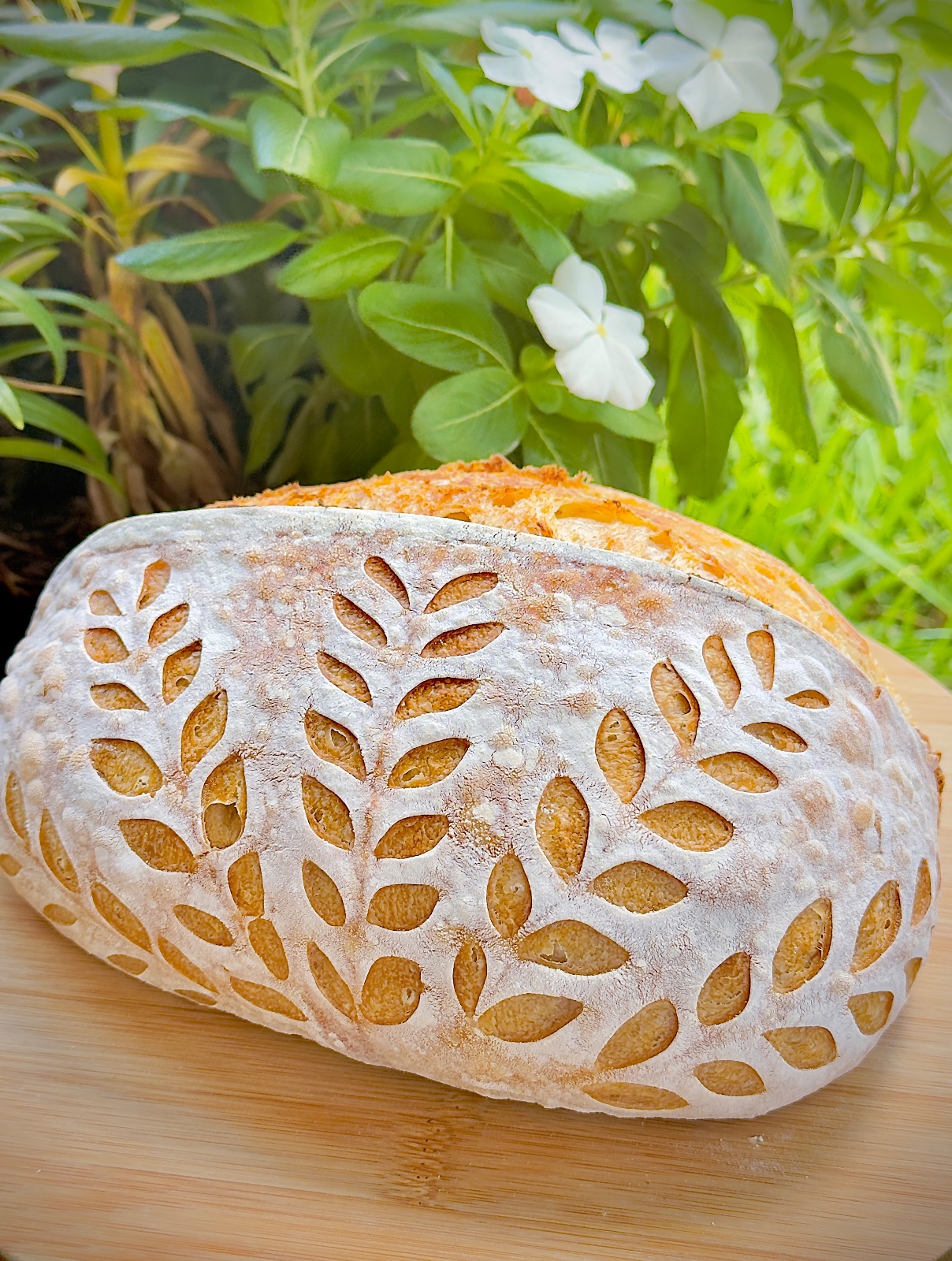Four different sourdough loaves lined up on linen showing variety and consistency